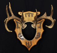 Deer Skull with Photo