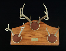 Antler Group