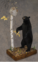 lifesize bear mount